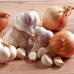 양파와 마늘