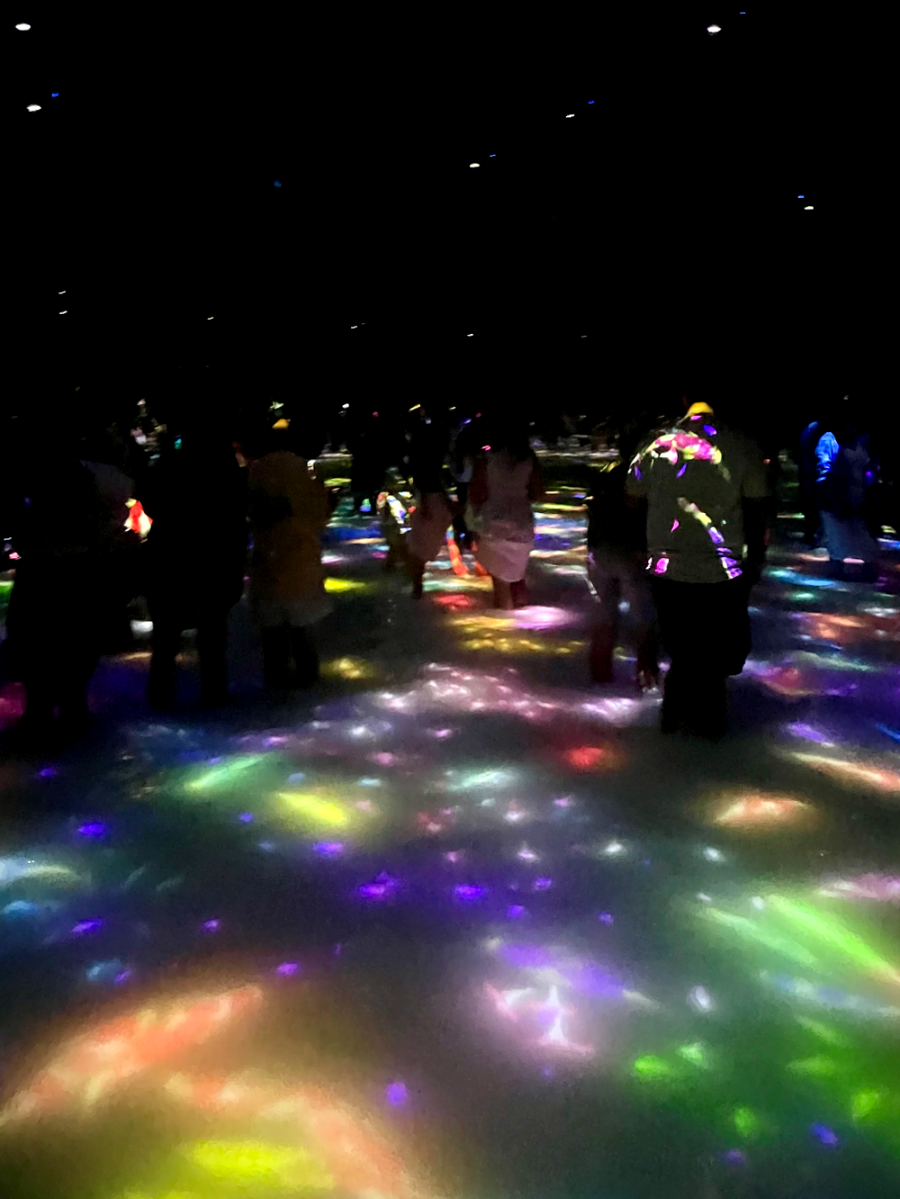 일본 도쿄 팀랩 플래닛 여행-사람과 함께 춤추는 잉어가 그리는 수면 위의 드로잉