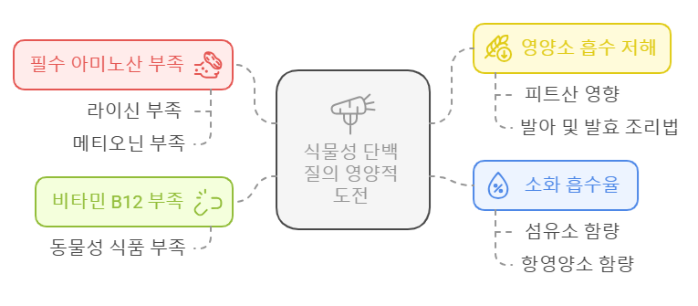 식물성 단백질의 영양적 주의