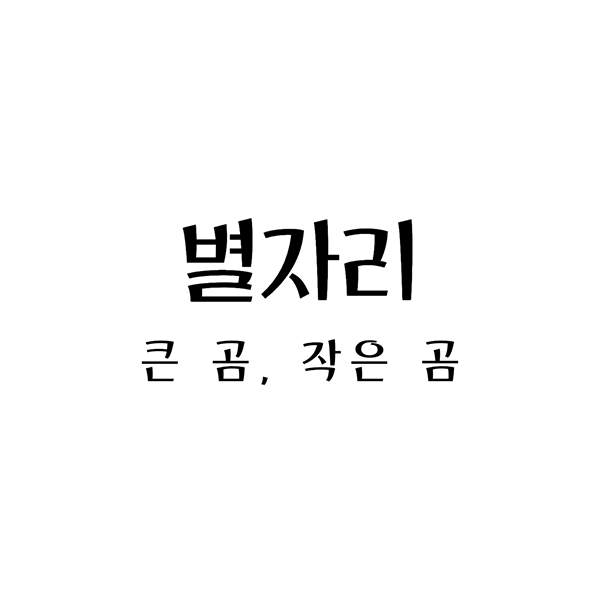 큰곰자리작은곰자리