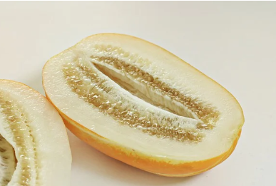 6월 제철음식