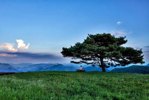 평창군 산너미목장 캠핑장 소개