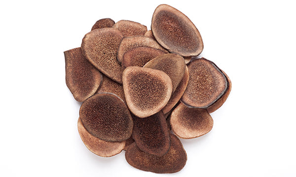 녹용 절단 사진