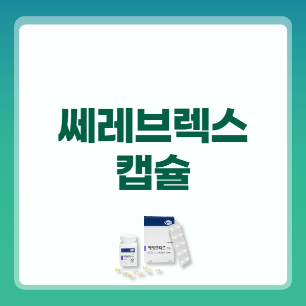 쎄레브렉스 캡슐 200mg 효능 부작용 가격