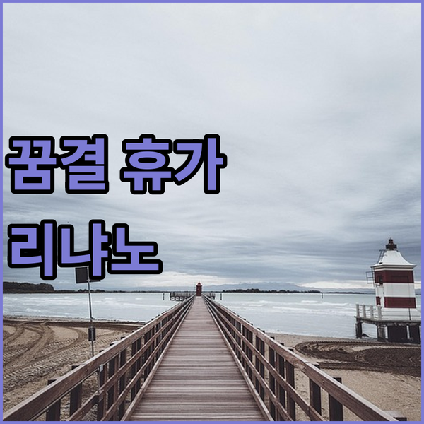 리냐노 리비에라 Hotel Marin..