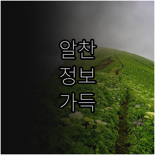 2025 안양시 청년창업 특례보증 신..