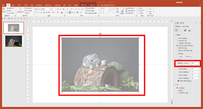 파워포인트 ppt 이미지 사진 투명도 조절