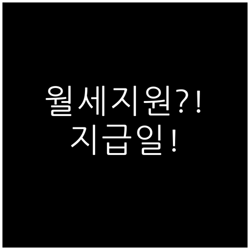 2026년 영암군 청년월세지원 지급일..