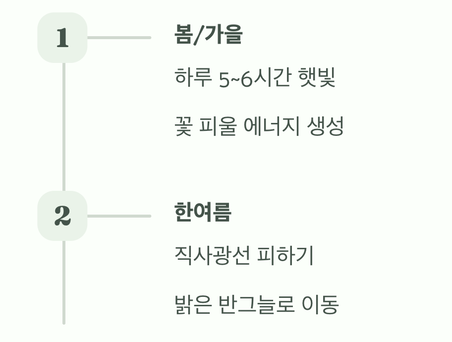 햇빛은 '보약', 그러나 한여름은 '독약'