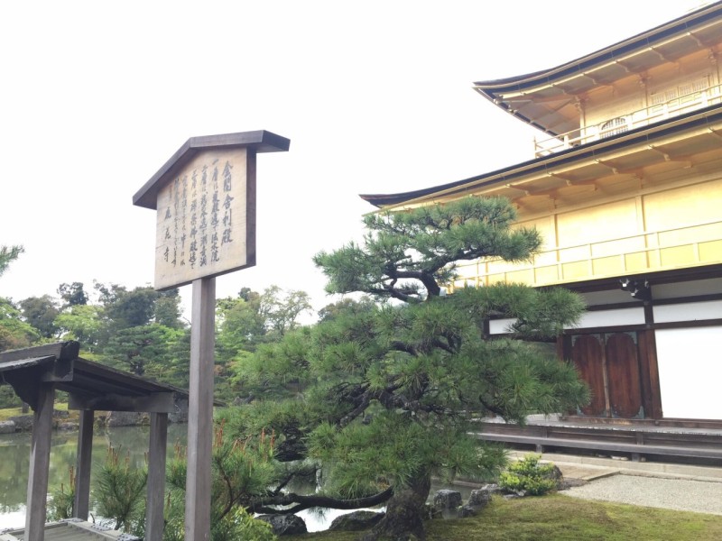 일본 자동차 전철 여행