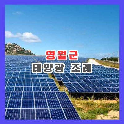 임야 태양광