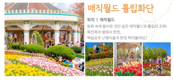 대구 도심 속 튤립 천국! 이월드 튤립 트래블 놓치지 마세요