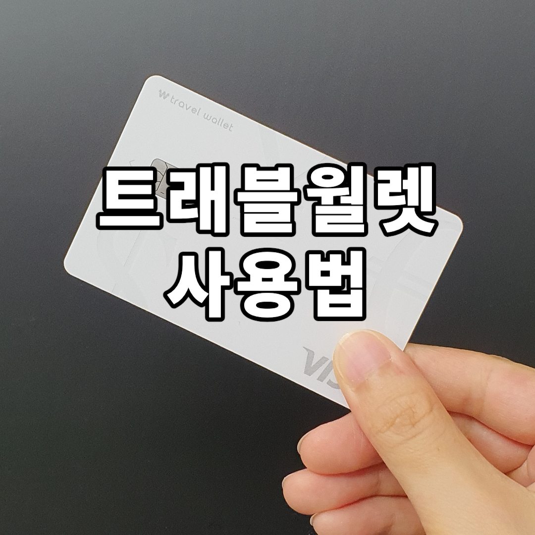 트래블월렛 사용법