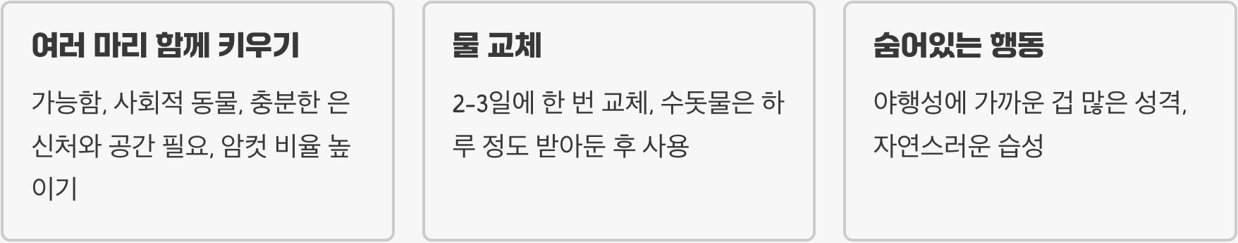 뱀파이어크랩 키우기 A to Z (사육장, 먹이, 온도)