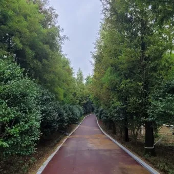 압해도 분재공원 근처 선착장에서의 낚시 농어와 도다리 포인트 소개 완벽 낚시터_23