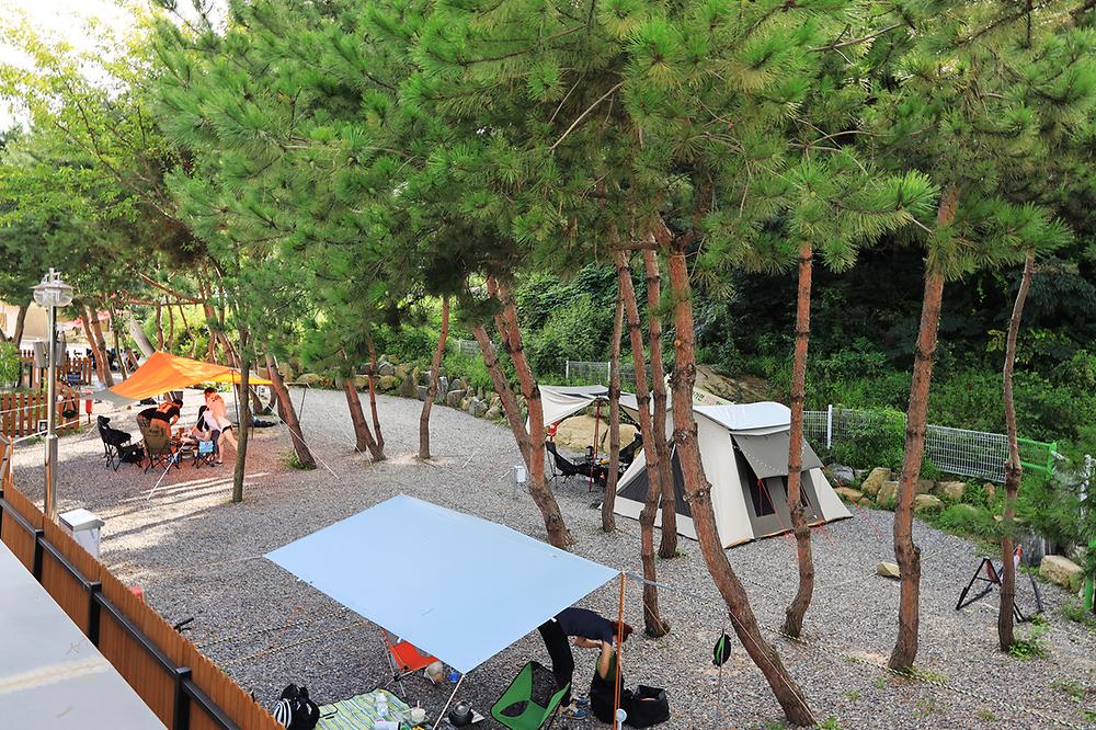 성남시 청계산골든밸리캠핑장 소개