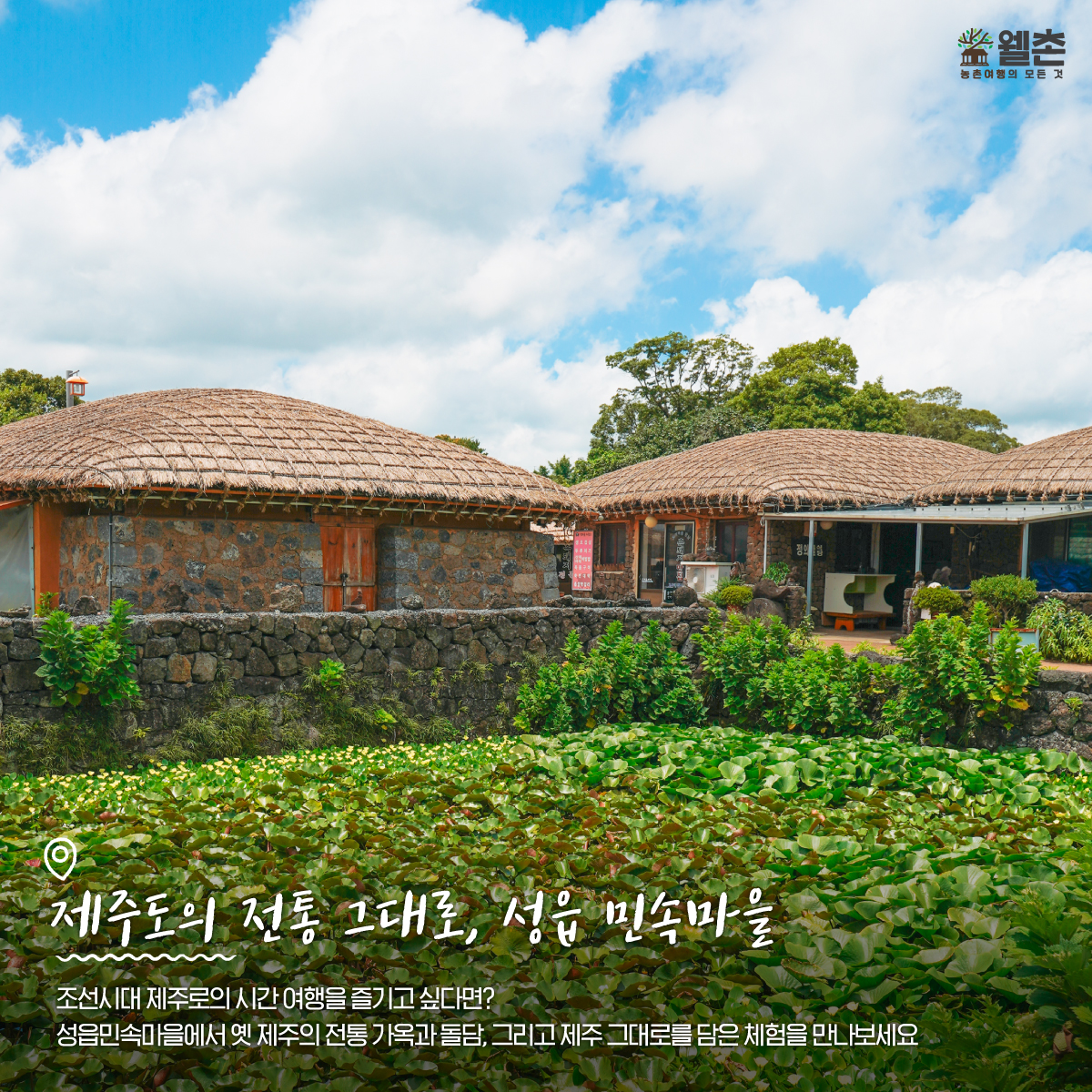 제주 농촌 여행지