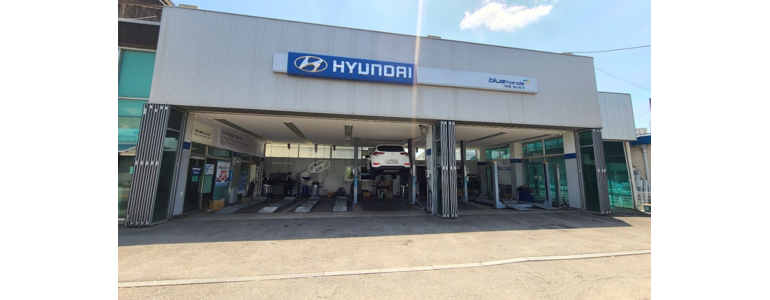 고양 일산서구 블루핸즈