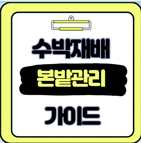 수박 본밭 관리