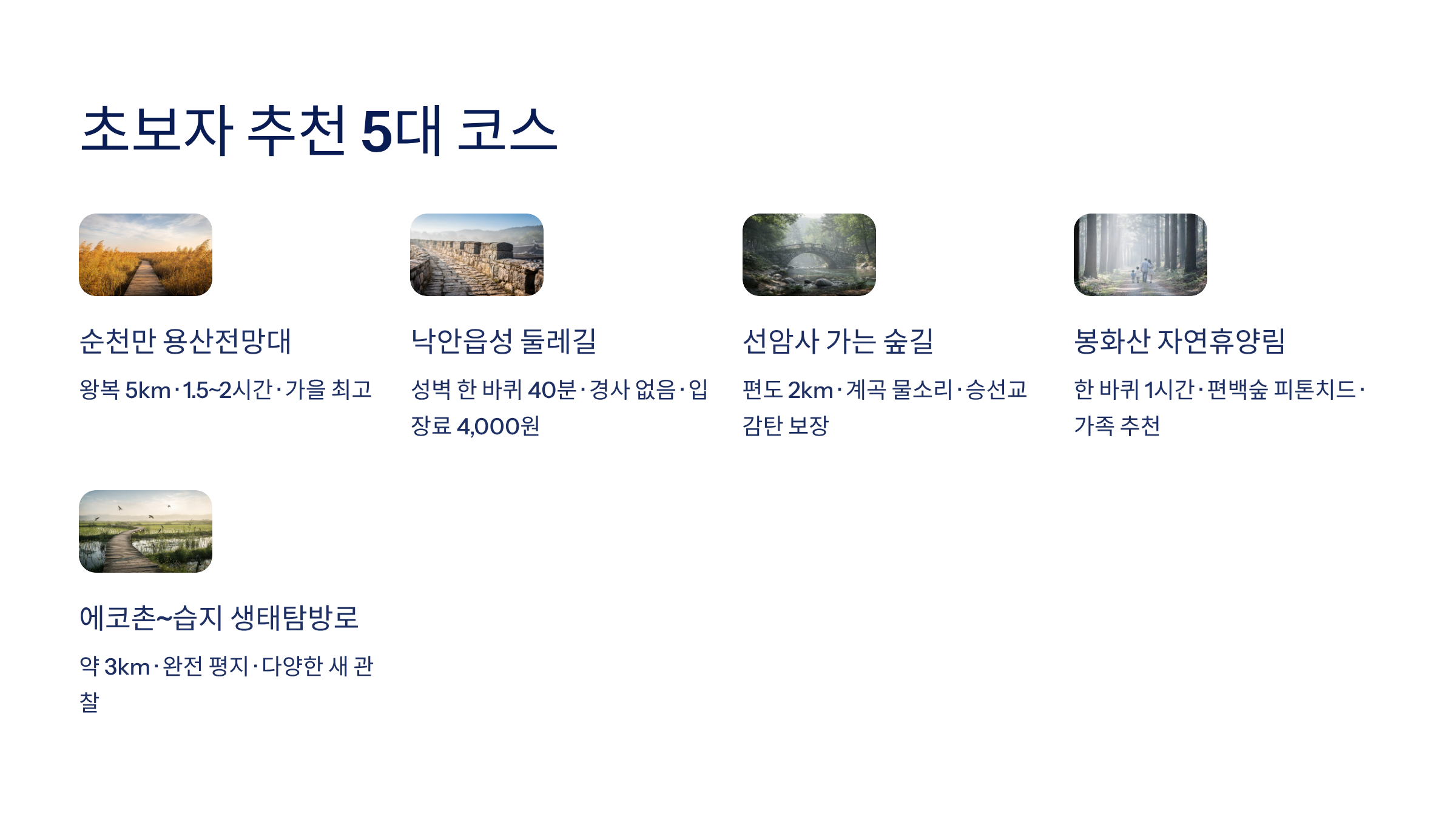 순천 근교 산책 달리기 트레킹 코스 추천 ❘ 습지부터 산줄기까지 걷는 여행