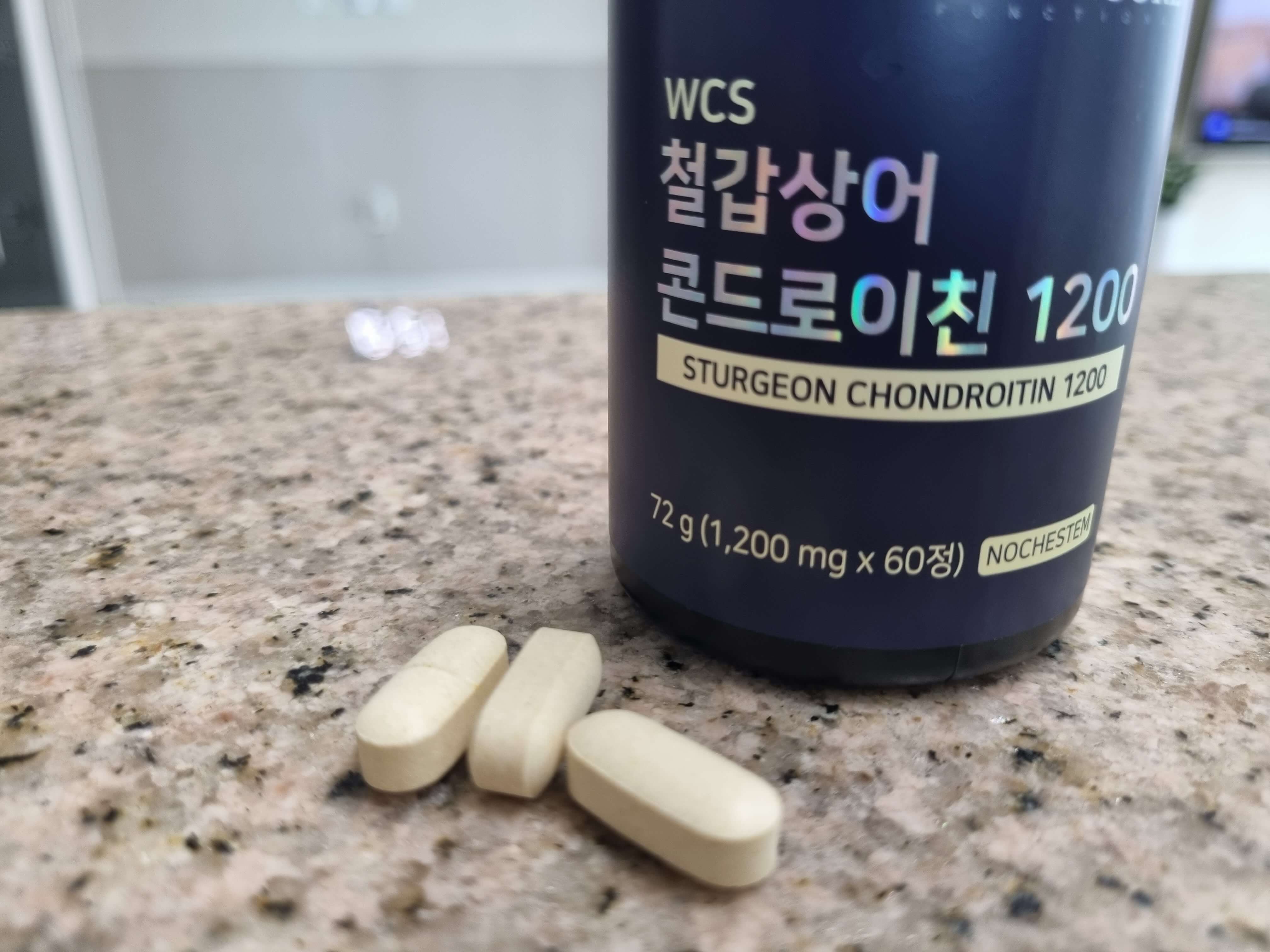 콘드로이친 효능