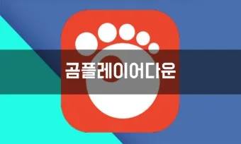 곰플레이어 다운로드 무료다운로드_22