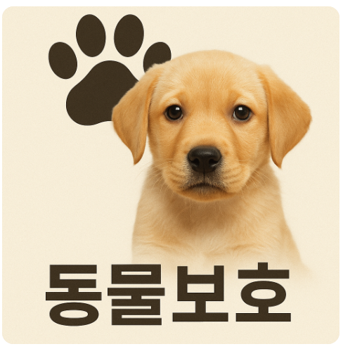 개식용종식 1년, 농장폐업과 제도전환 현실