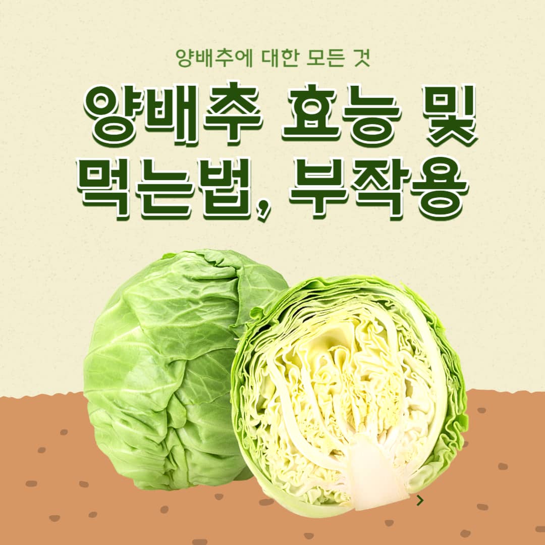 양배추 효능 및 먹는법, 양배추 보관하는 법과 양배추 부작용