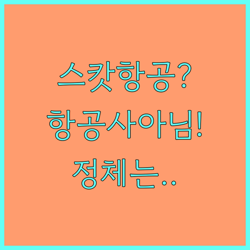 스캇항공은 어떤 서비스일까 항공사 아..