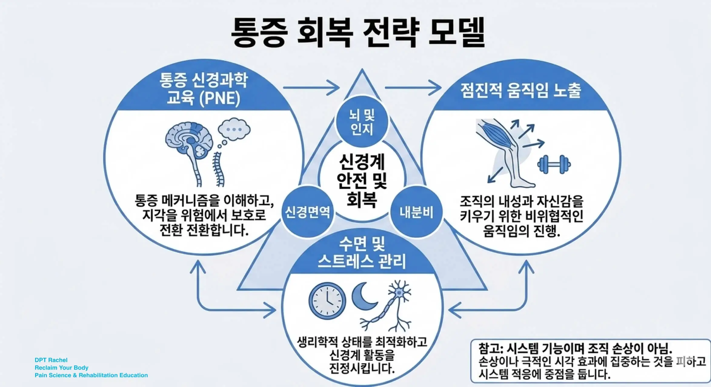 스트레칭 대신 신경계 기반 회복 전략 3요소 (움직임, 교육, 회복)