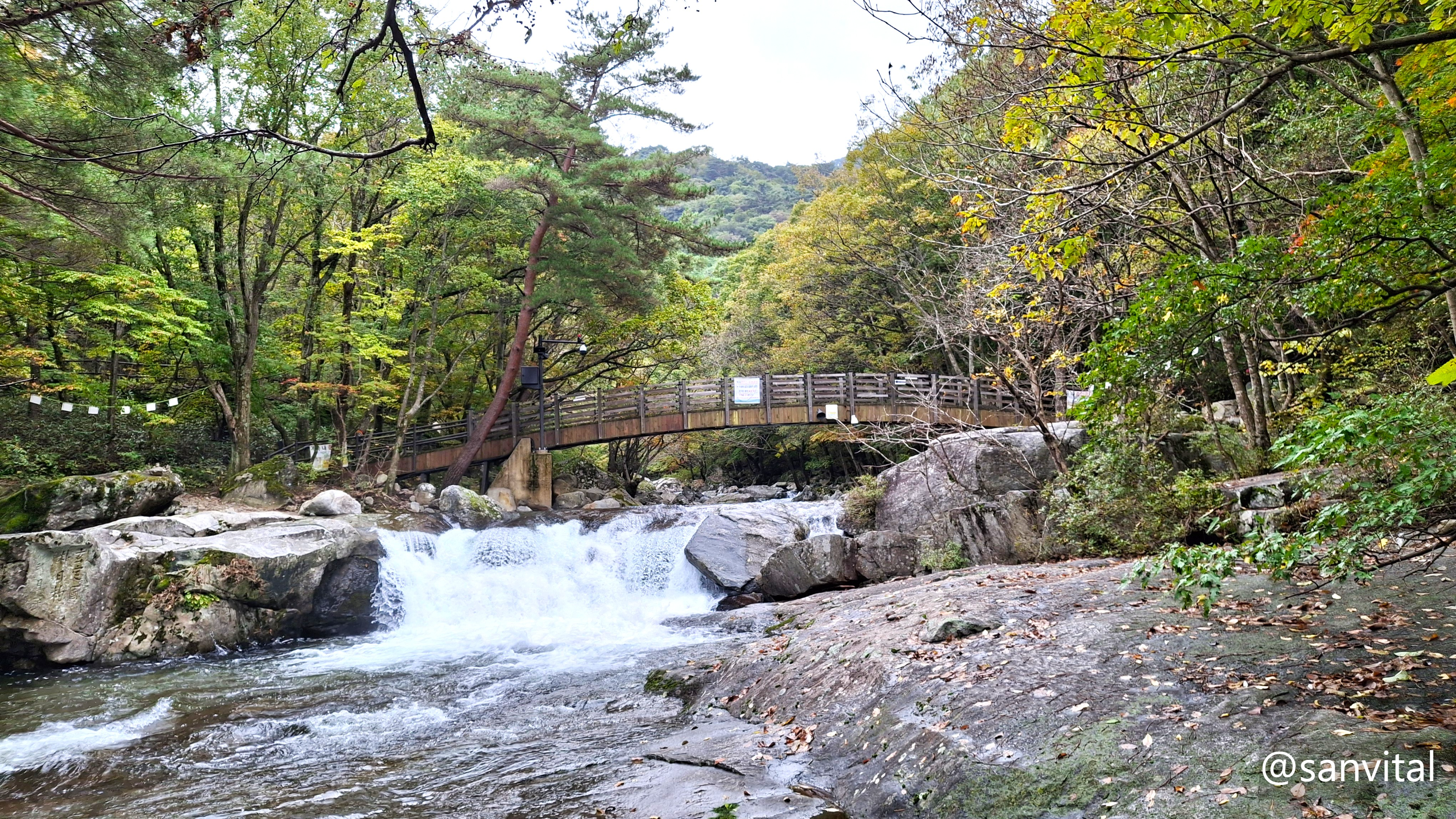 무주구천동계곡 인월담