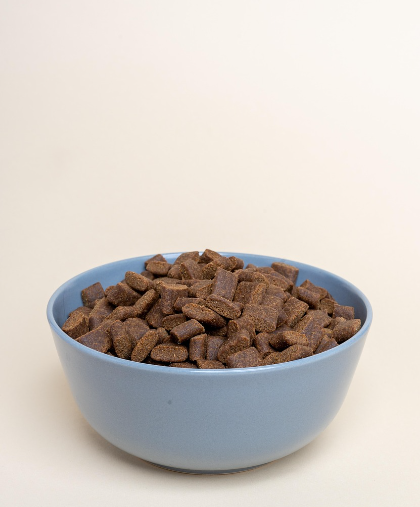 사람이 사료를 먹는다고? ‘반려동물 사료 맛 평가자’의 충격적인 진실