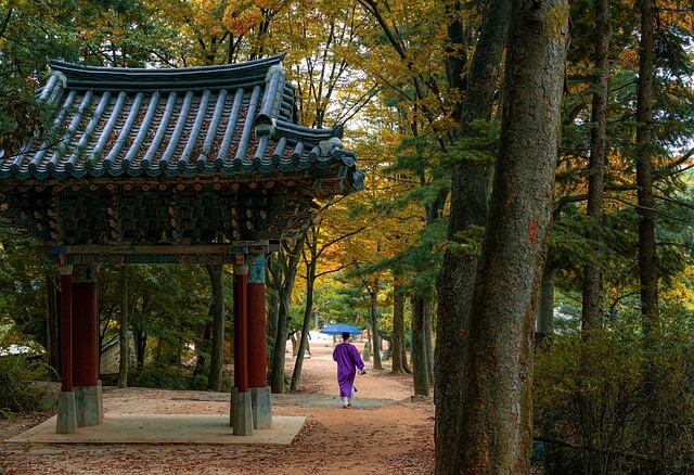 민속촌 사진
