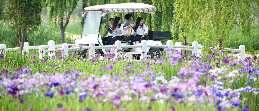 [4월~5월 여행지]만개한 꽃잔디와 봄날의 감동, 거창창포원에서 만난 힐링의 순간