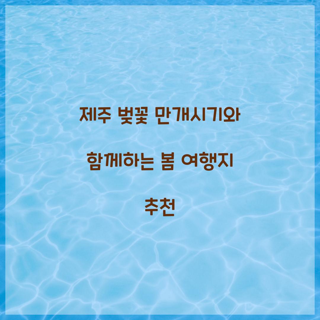 제주 벚꽃 만개시기