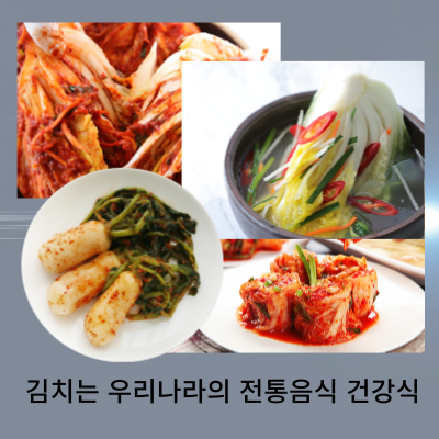 한국의 전통 발효식품 김치가 건강에 미치는 영향