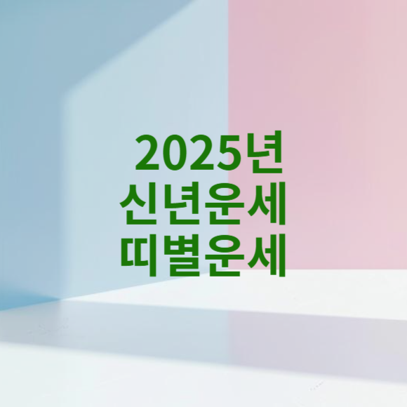 2025년 신년운세