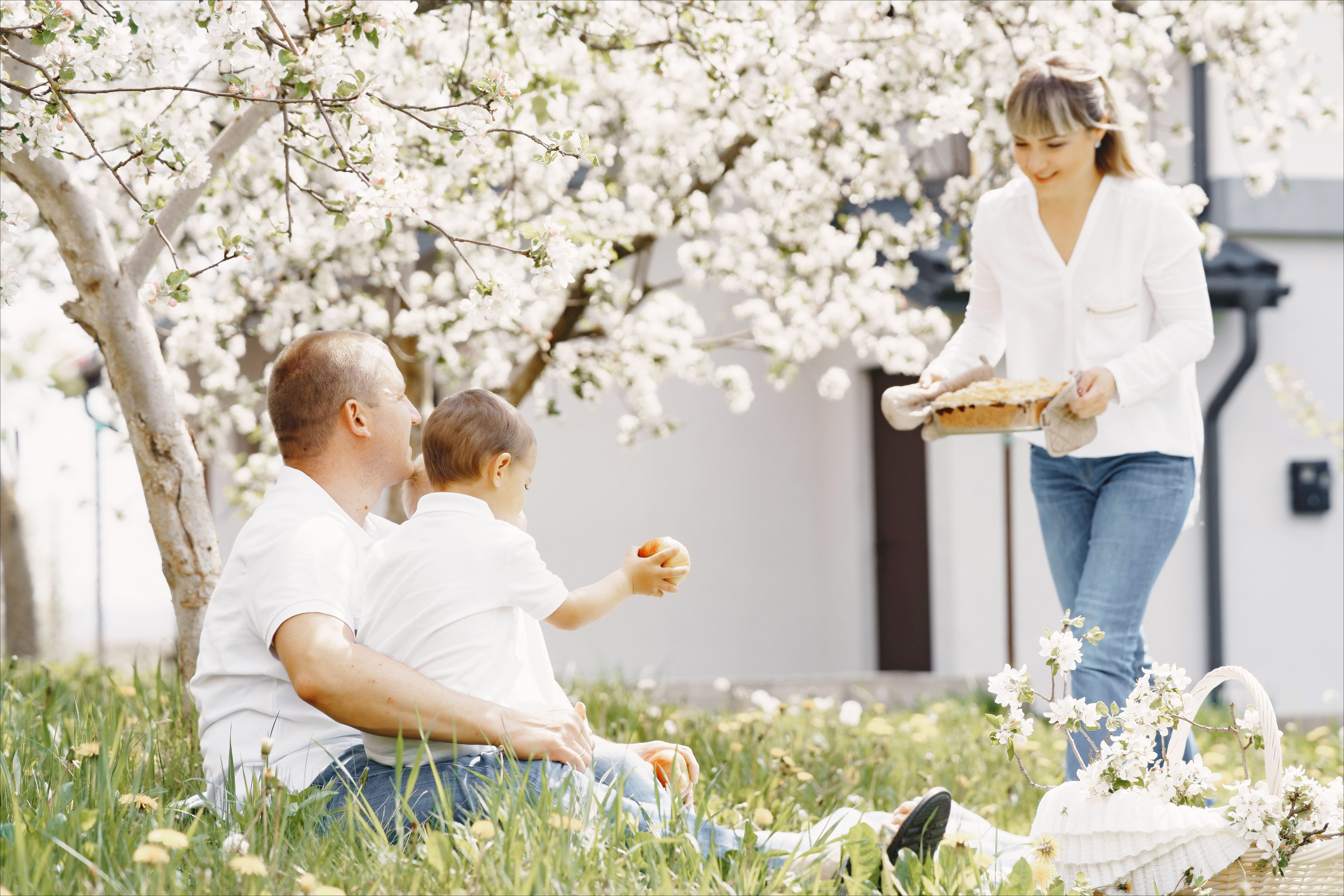 경기도 조부모 돌봄수당 신청