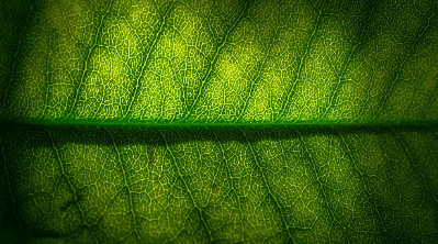 백운호수 푸르지오 숲속의 아침