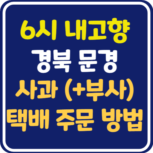 6시 내고향 문경 사과 부사 택배 주문 방법