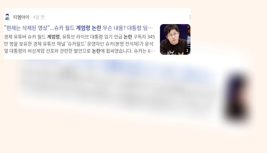 계엄령 논란_3_subsection