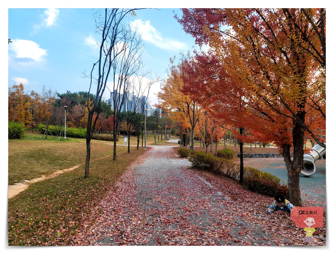 경기도-남양주시-다산동-근린공원-단풍나무