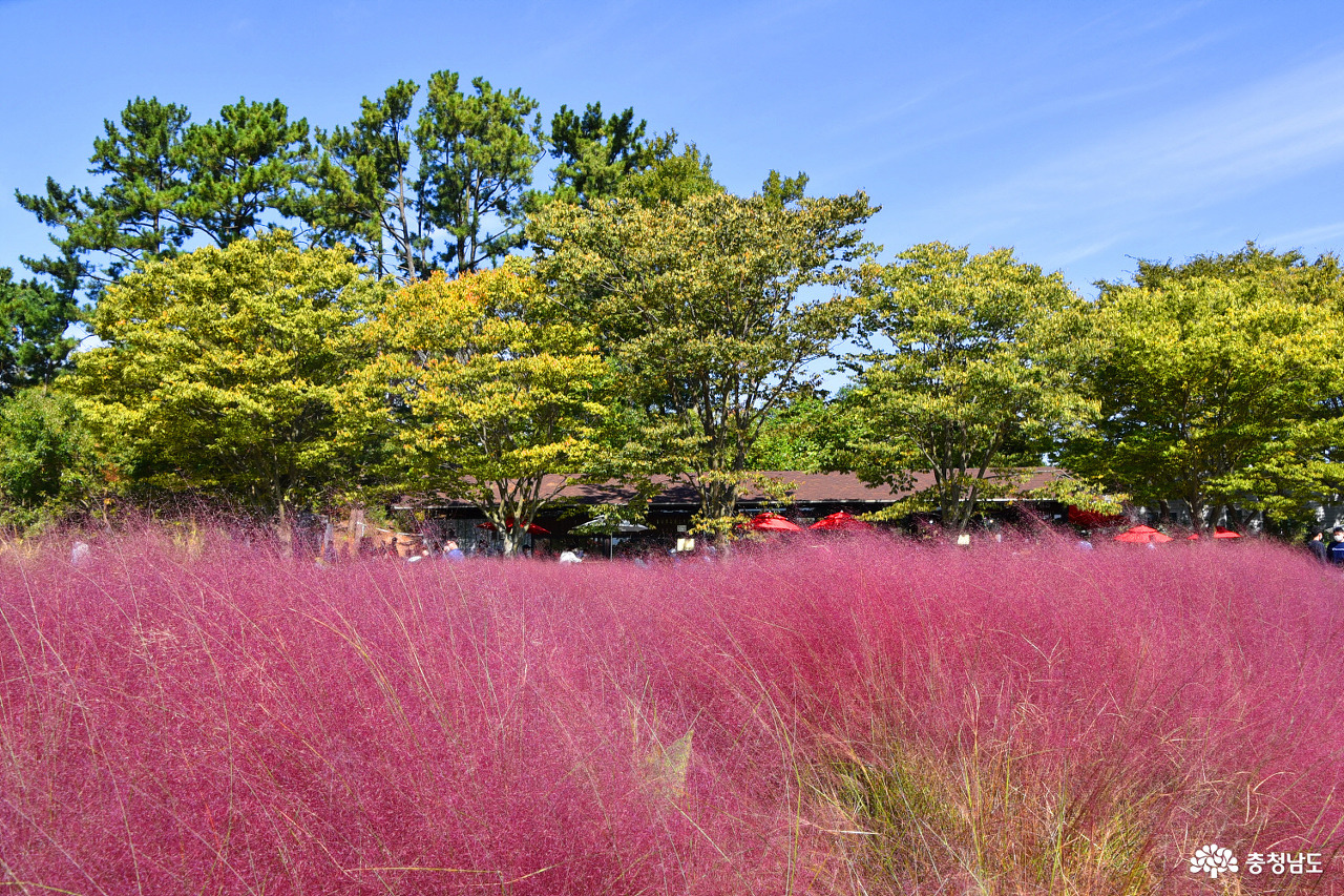 alt=&quot;수목원&quot;