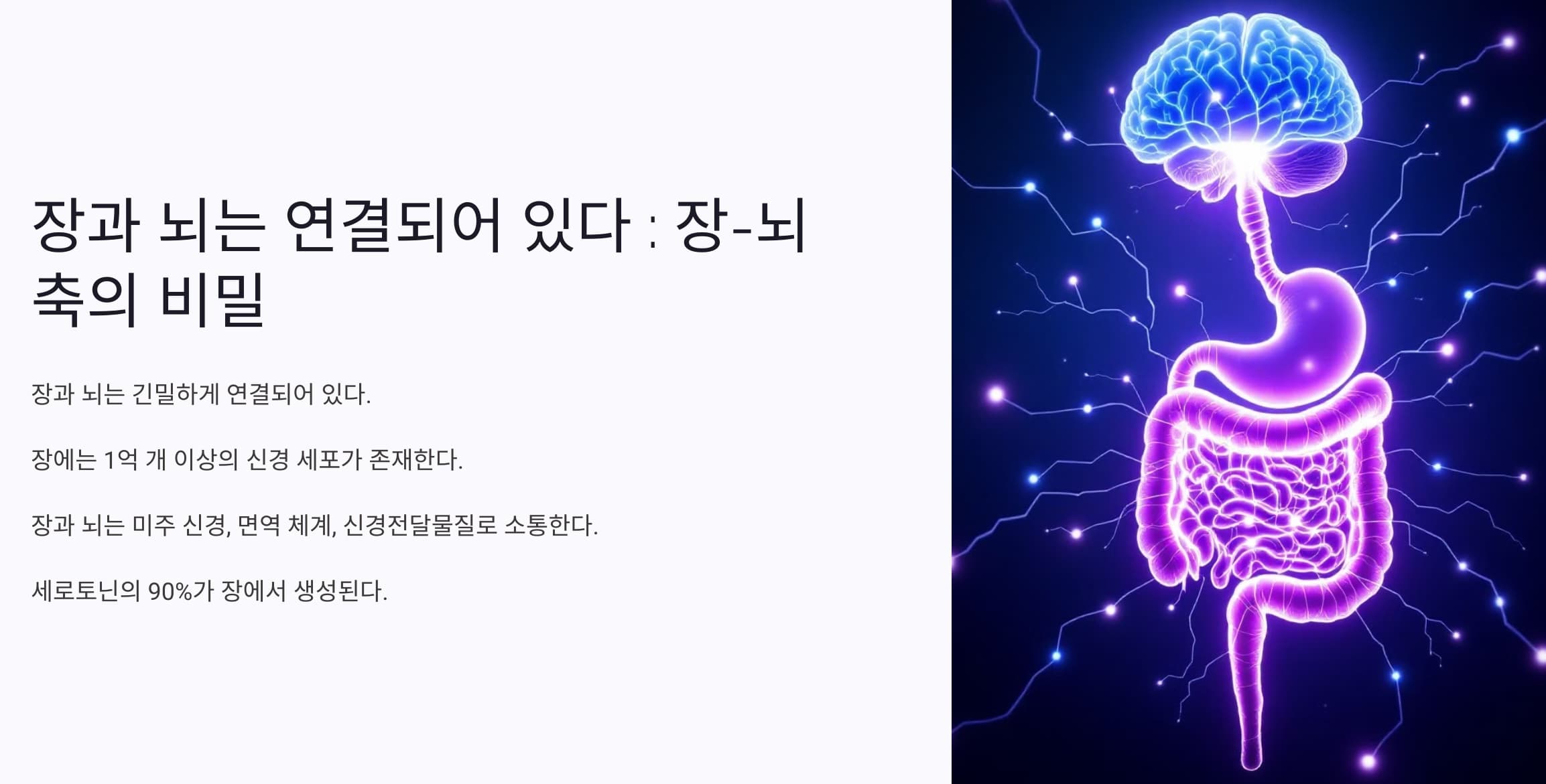 장-뇌축(Gut-Brain Axis)을 설명하는 인포그래픽