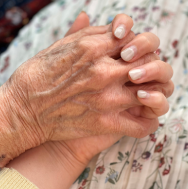 할머니와 손주의 손