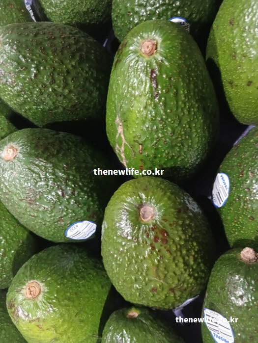 아보카도 효능의 제철 시기와 따뜻한 성질을 보여주는 실사진