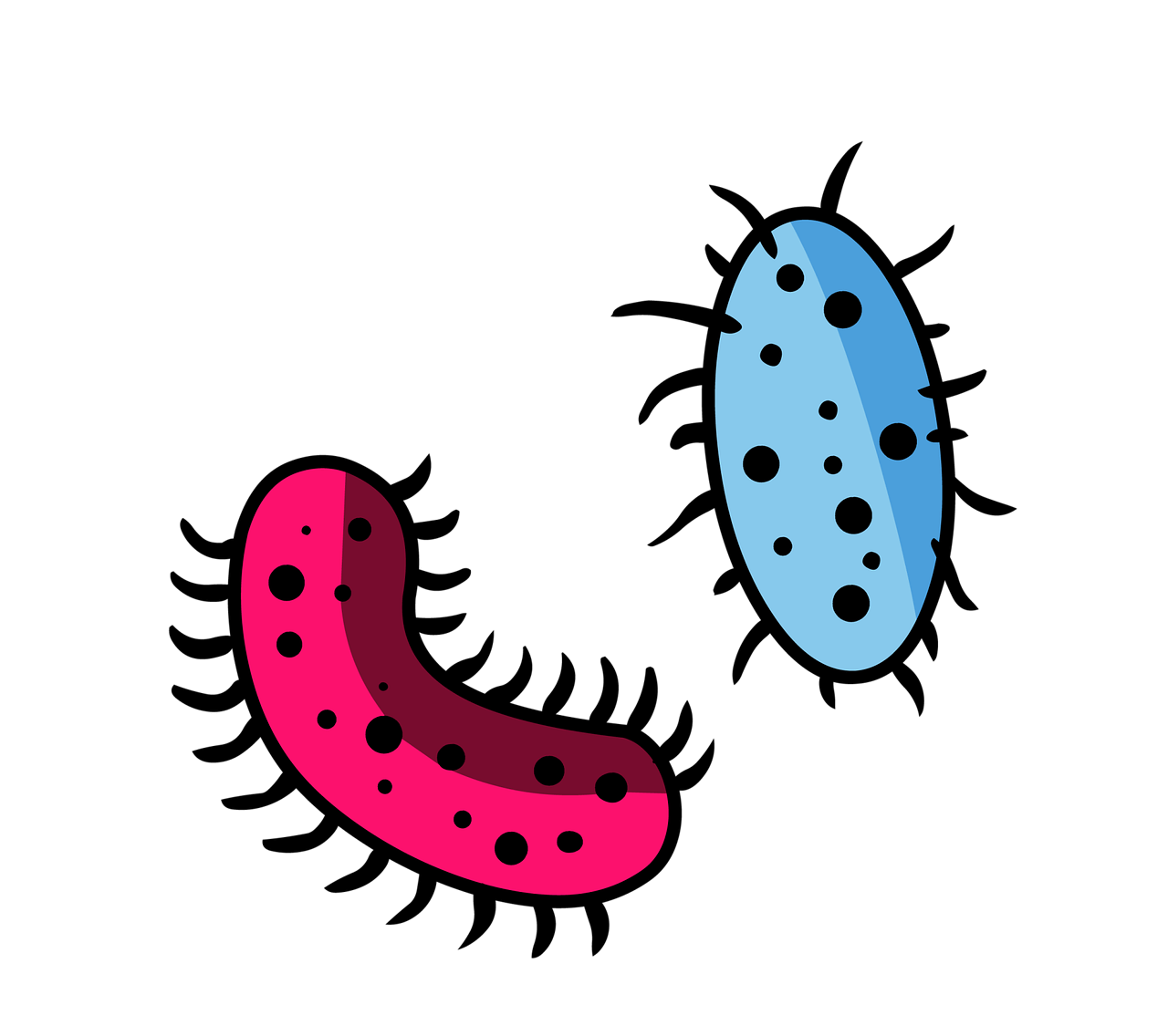 헤르페스 2형 증상