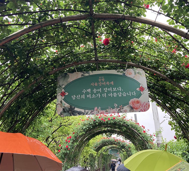 중랑장미공원
