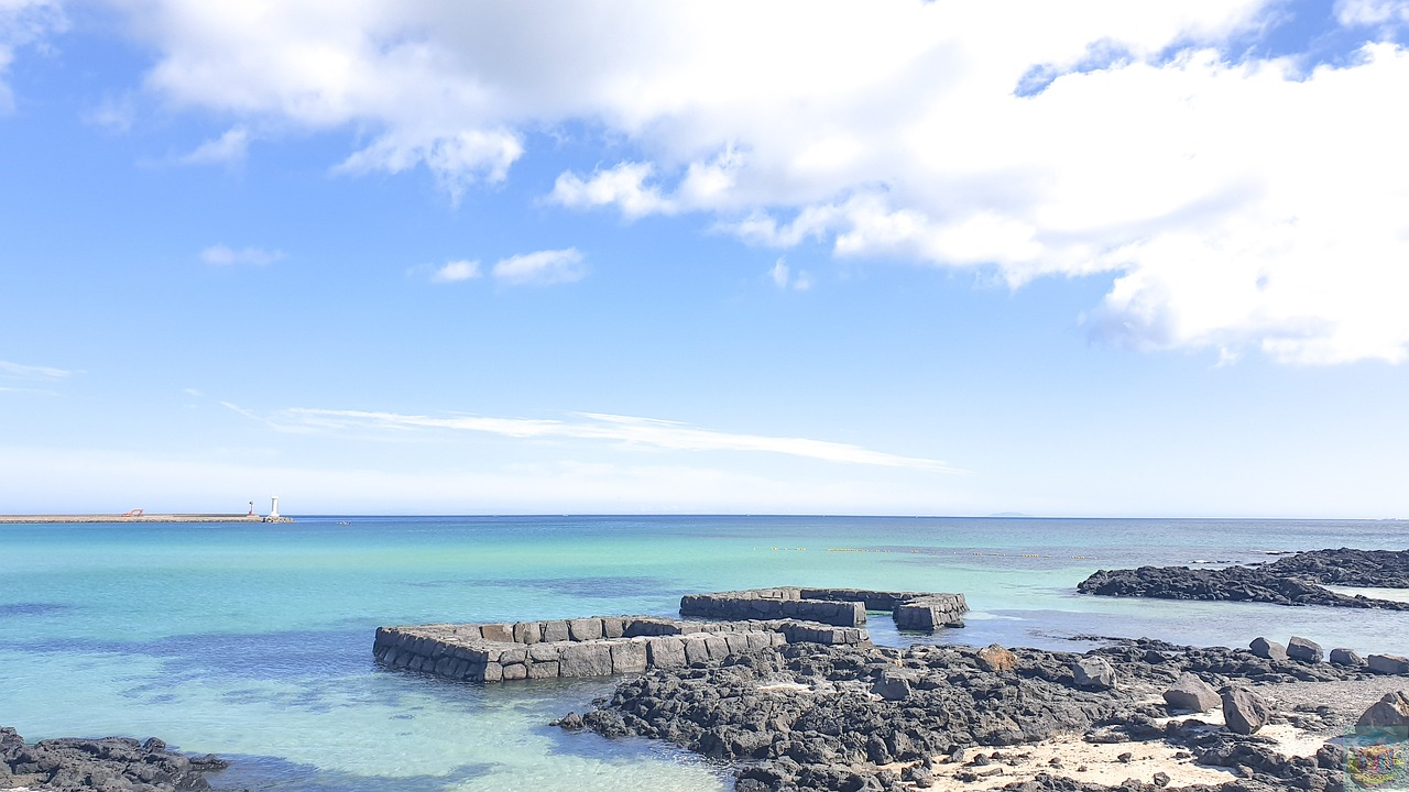 제주렌트카 TOP3