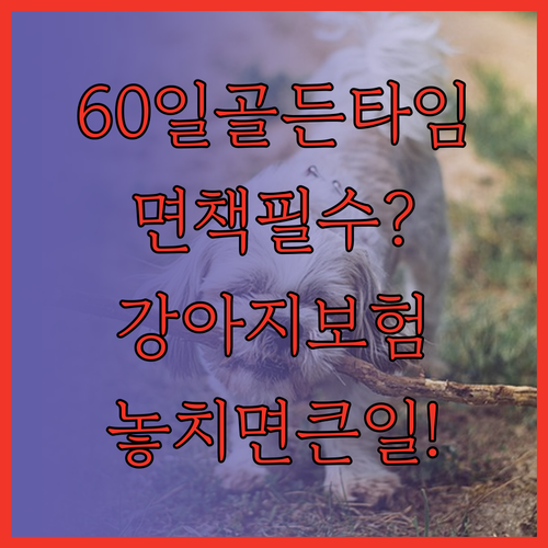 강아지 보험 면책기간 생후 60일 골..